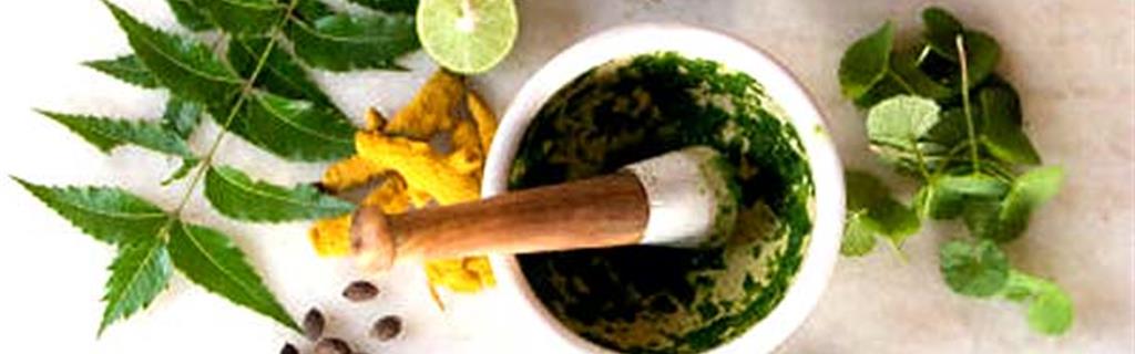 All Kind Of Ayurvedic Herbs and Medicinal herbs